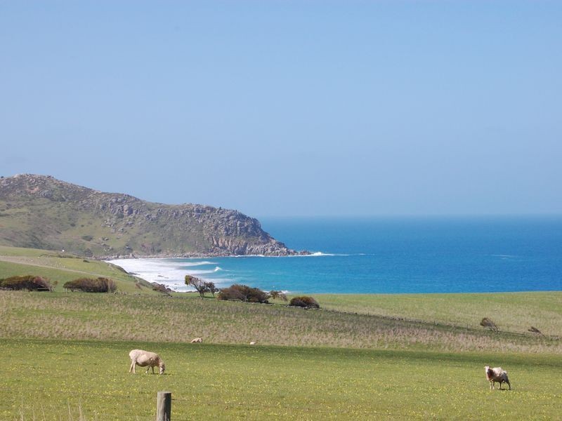 Lot 91 Kings Beach Road, Waitpinga SA 5211