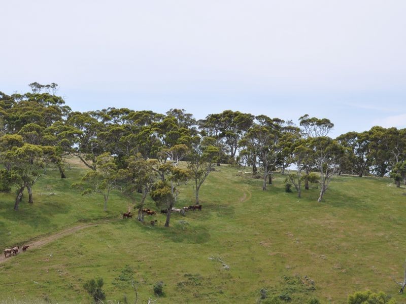 Lot 2215 Burgar Road, Middleton SA 5213