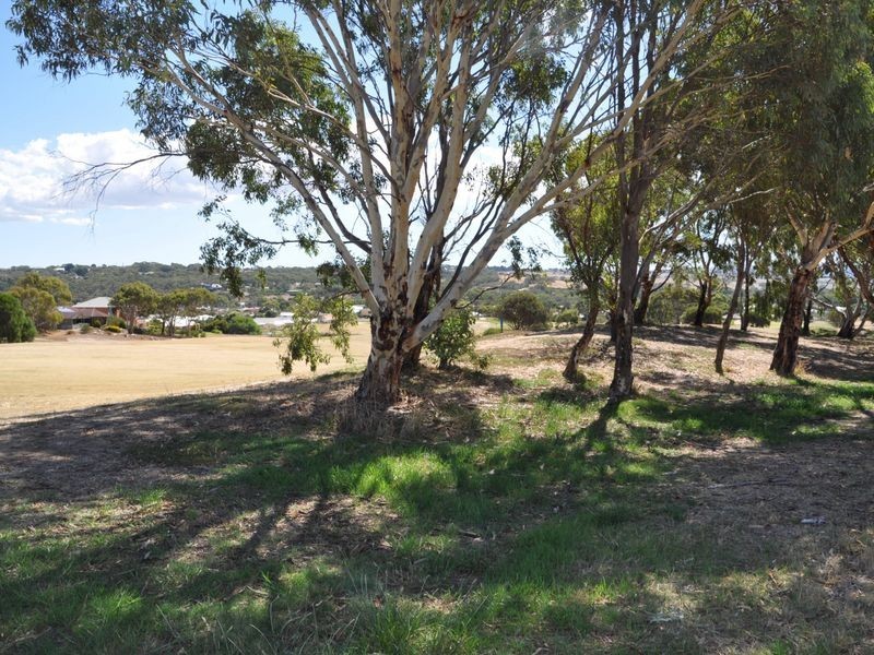 33 Tyrone Street, Mccracken SA 5211