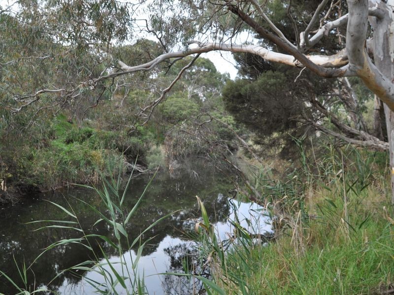 11 Almond Avenue, Victor Harbor SA 5211