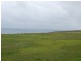 Kings Beach Road, Waitpinga SA 5211