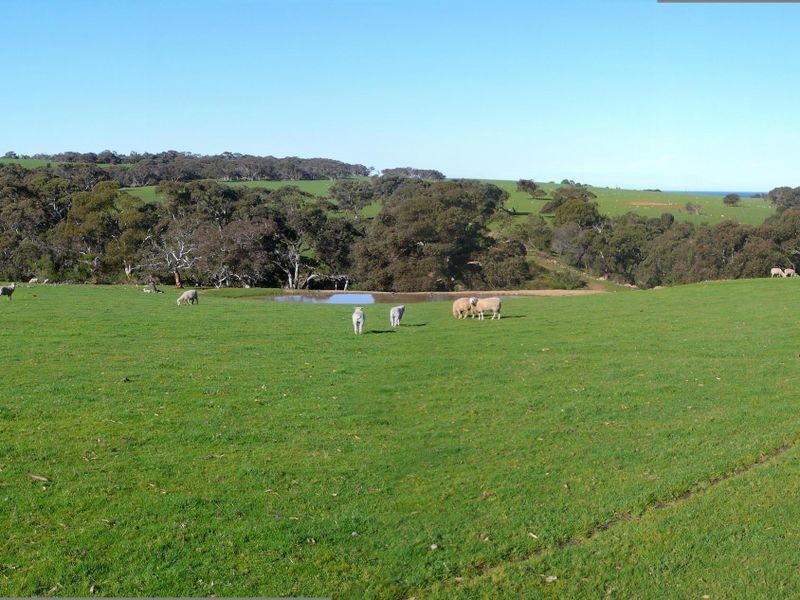Lot 70 Waitpinga Road, Waitpinga SA 5211