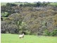 Lot 70 Waitpinga Road, Waitpinga SA 5211