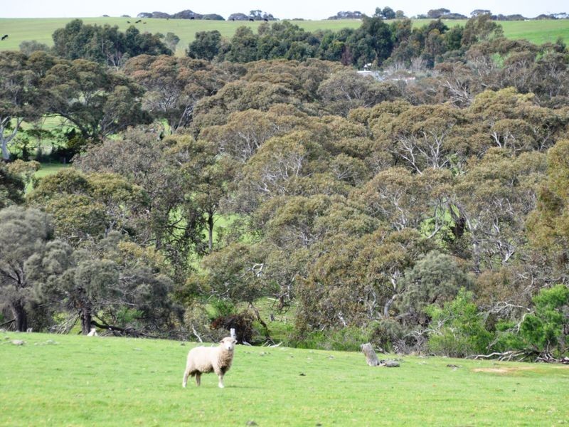 Lot 70 Waitpinga Road, Waitpinga SA 5211