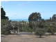 Lot 100 Warland Avenue, Victor Harbor SA 5211