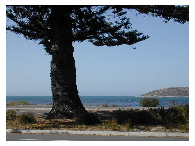 76 Franklin Parade, Encounter Bay SA 5211