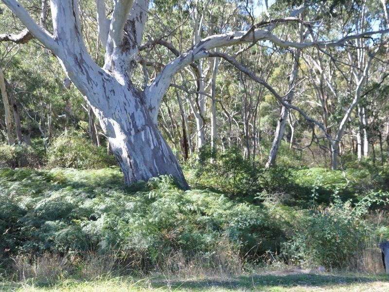 180 Strangways Road, Hindmarsh Valley SA 5211