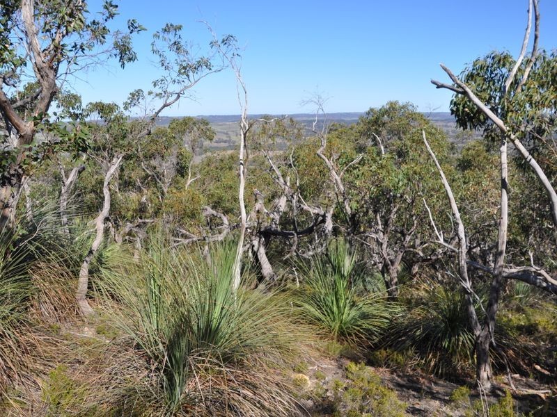 180 Strangways Road, Hindmarsh Valley SA 5211