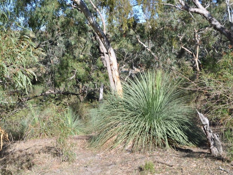 180 Strangways Road, Hindmarsh Valley SA 5211