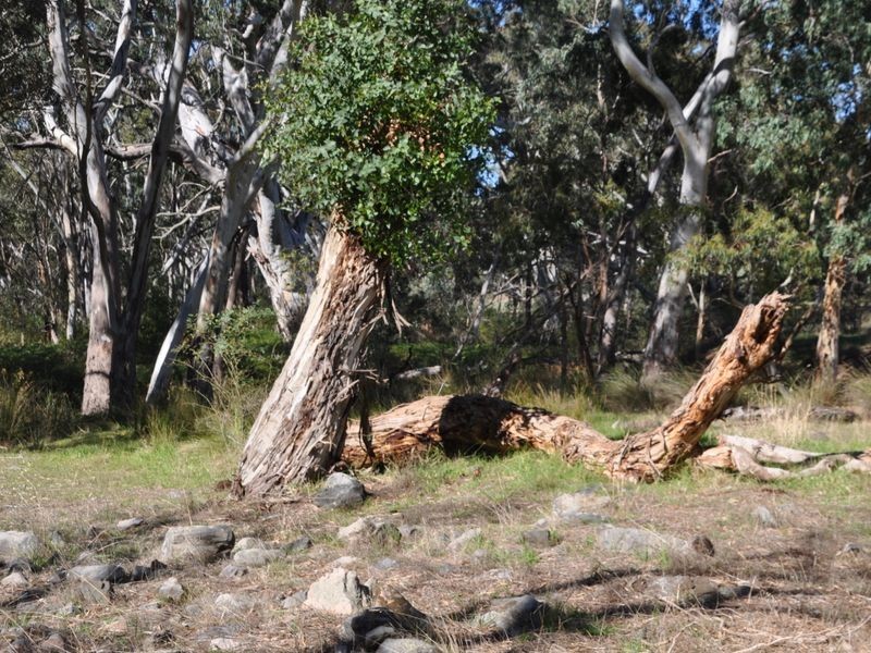 180 Strangways Road, Hindmarsh Valley SA 5211