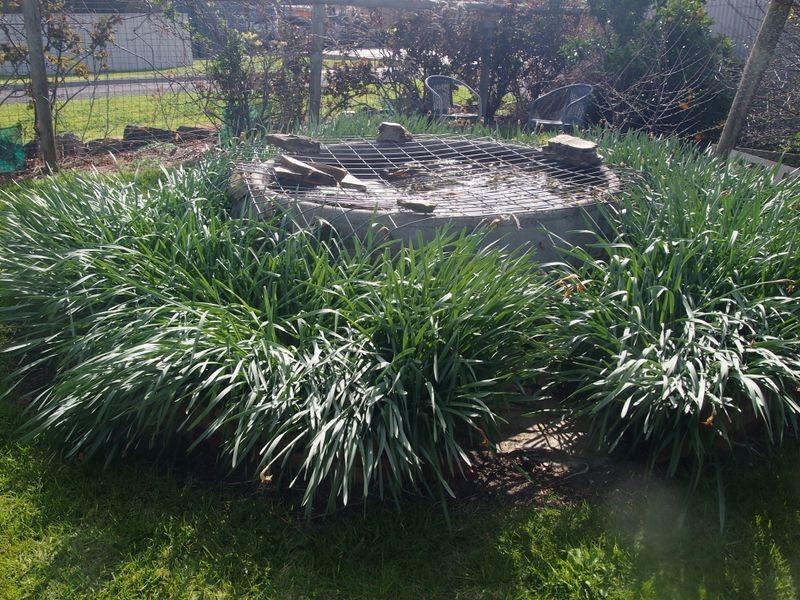 2 Manly Grove, Hayborough SA 5211