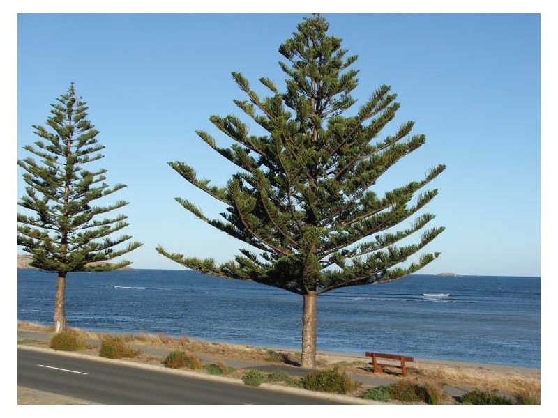 4/28 Franklin Parade, Encounter Bay SA 5211