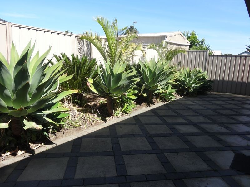 81 Nicolas Baudin Drive, Encounter Bay SA 5211