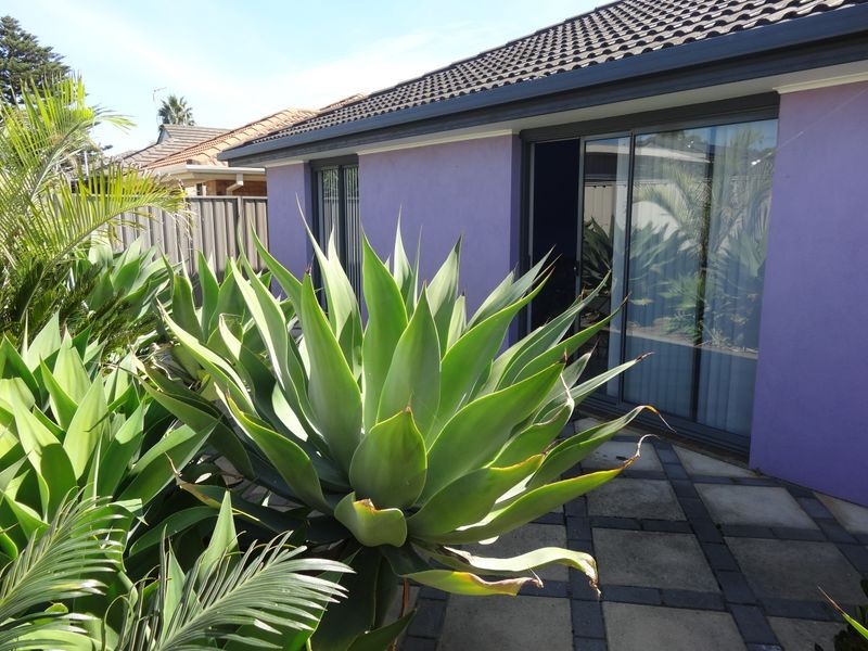 81 Nicolas Baudin Drive, Encounter Bay SA 5211