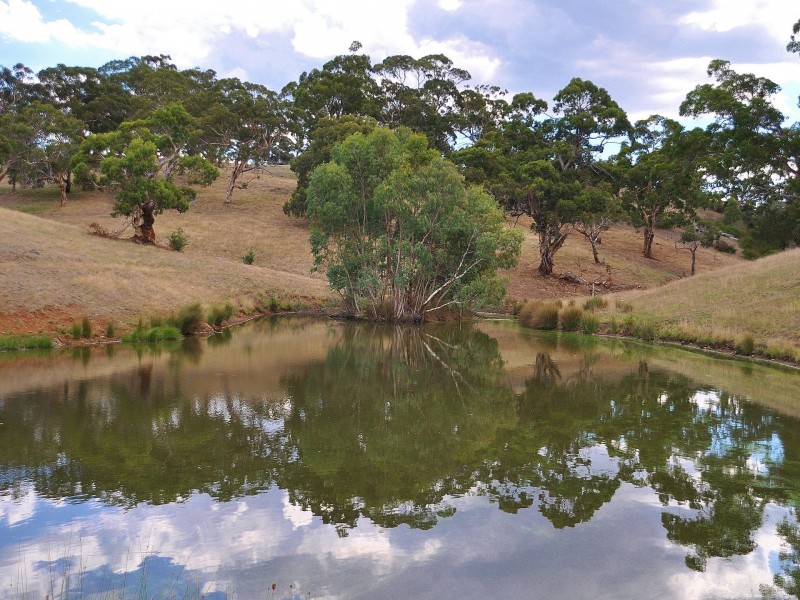 Lot 2215 Burgar Road, Middleton SA 5213