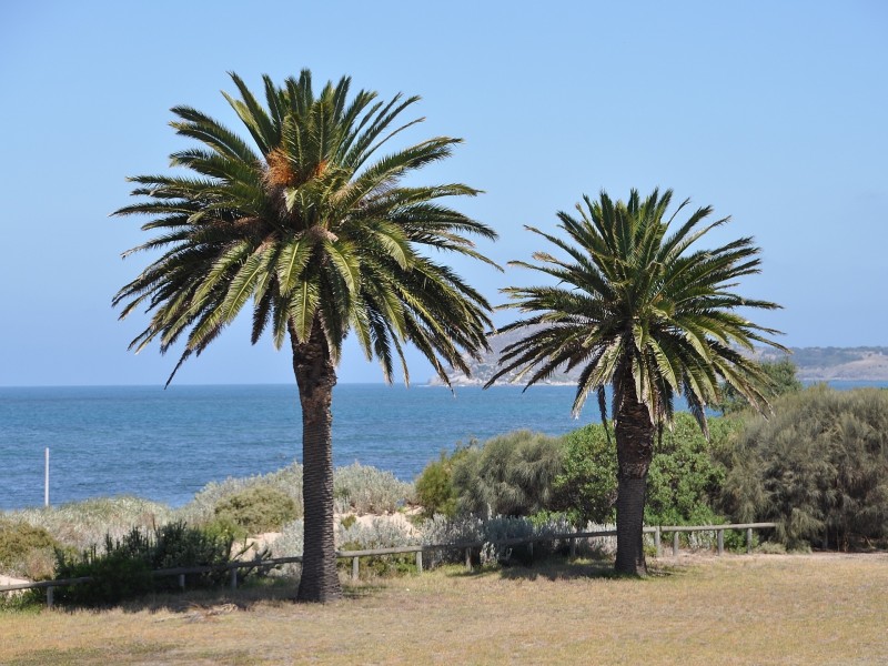 Unit 6/22 Esplanade, Victor Harbor SA 5211