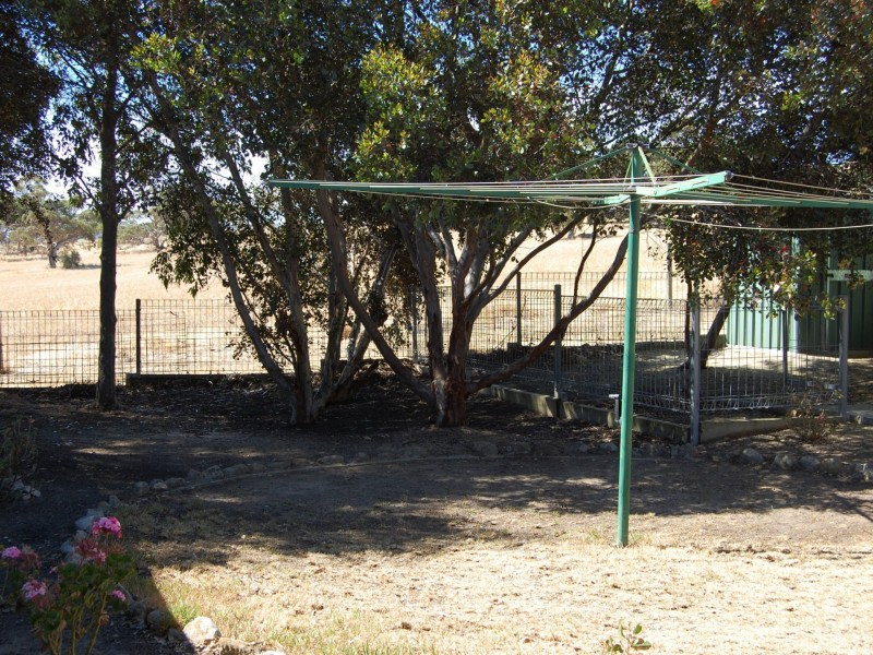 8 Palm Court, Mccracken SA 5211