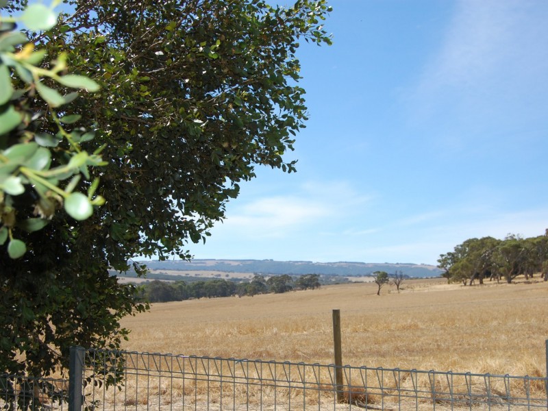 8 Palm Court, Mccracken SA 5211