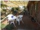 2 Manly Grove, Hayborough SA 5211