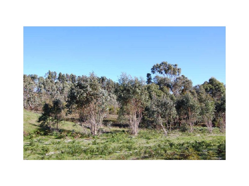 Lot 101 Polwarth Drive, Inman Valley SA 5211