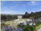 8 Lipizzaner Drive, Victor Harbor SA 5211