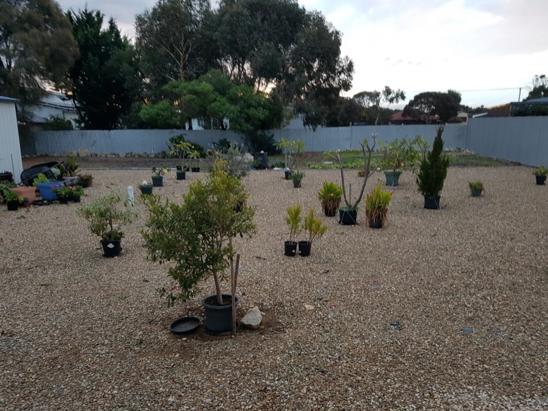 17 Glassenbury Road, Goolwa SA 5214