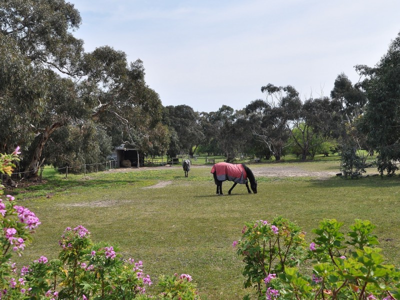 17 Altman Avenue, Victor Harbor SA 5211