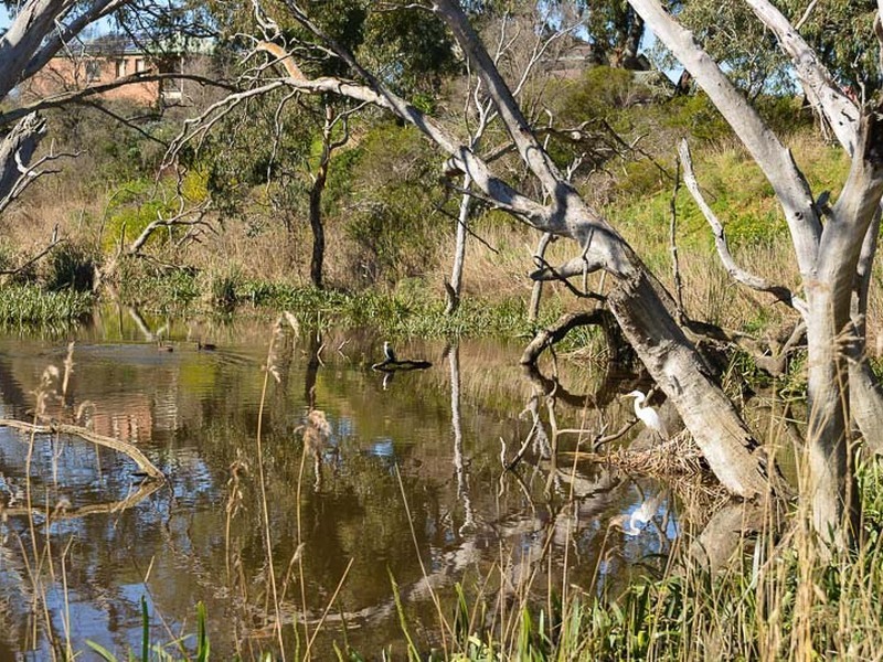 1 Lamont Court, Mccracken SA 5211