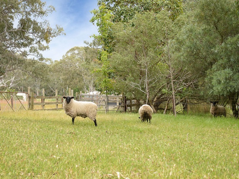 12 Parri Wilta Road, Ashbourne SA 5157