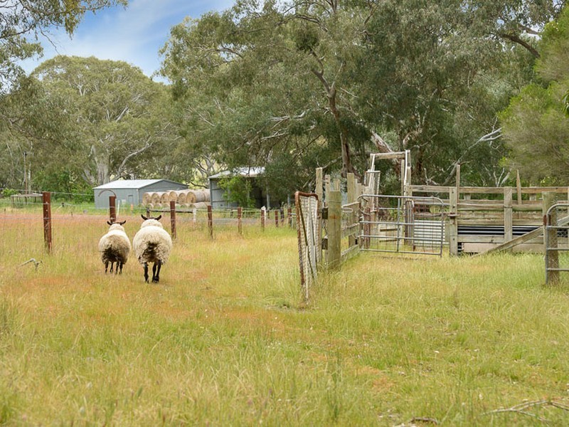 12 Parri Wilta Road, Ashbourne SA 5157