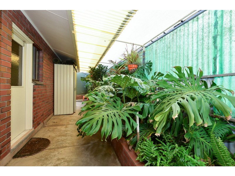 31 The Crescent, Mccracken SA 5211