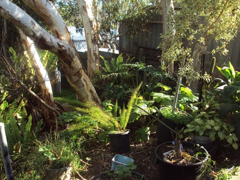 9 Keithalan Avenue, Victor Harbor SA 5211