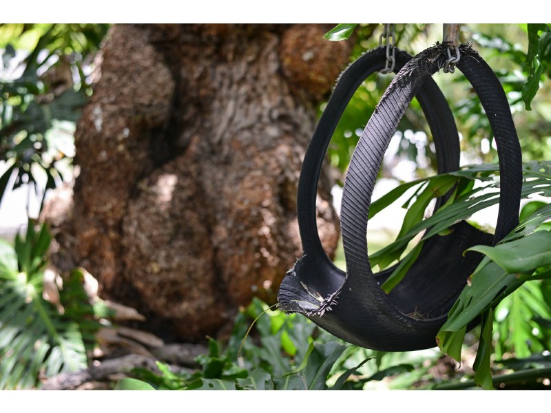 16 Methodist street, Willunga SA 5172