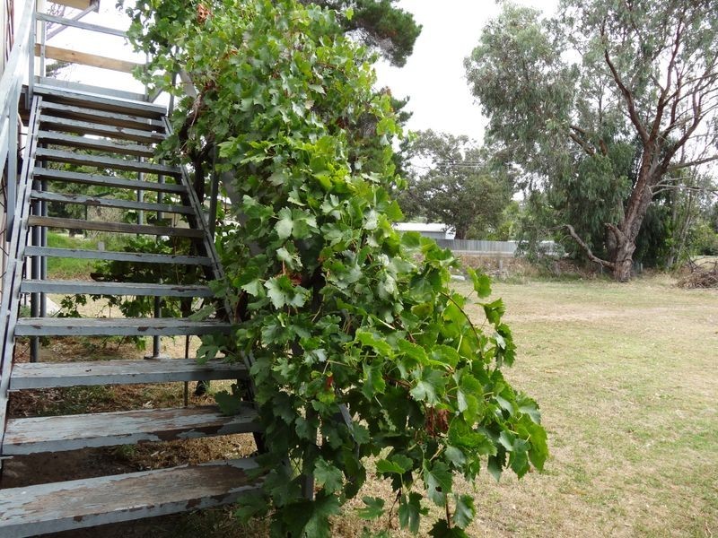 35 Russell Street, Encounter Bay SA 5211