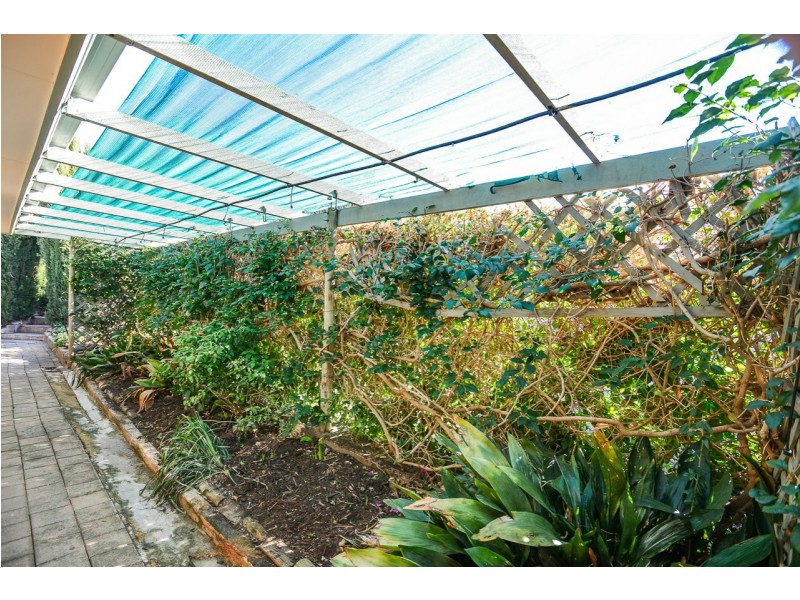 8 Zilm Court, Encounter Bay SA 5211