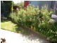 12 Swain Road, Victor Harbor SA 5211