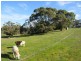 33 Water Reserve Road, Lower Inman Valley SA 5211