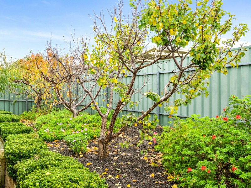 31 Prime Boulavard, Encounter Bay SA 5211