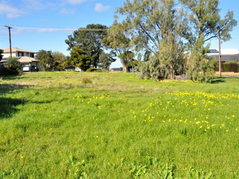 11 Dundalk Avenue, Mccracken SA 5211