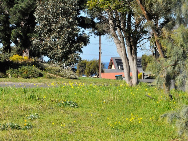 11 Dundalk Avenue, Mccracken SA 5211