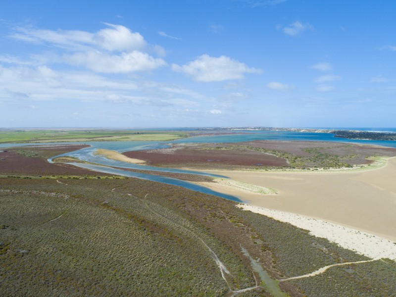 93 Mundoo Channel Drive, Hindmarsh Island SA 5214