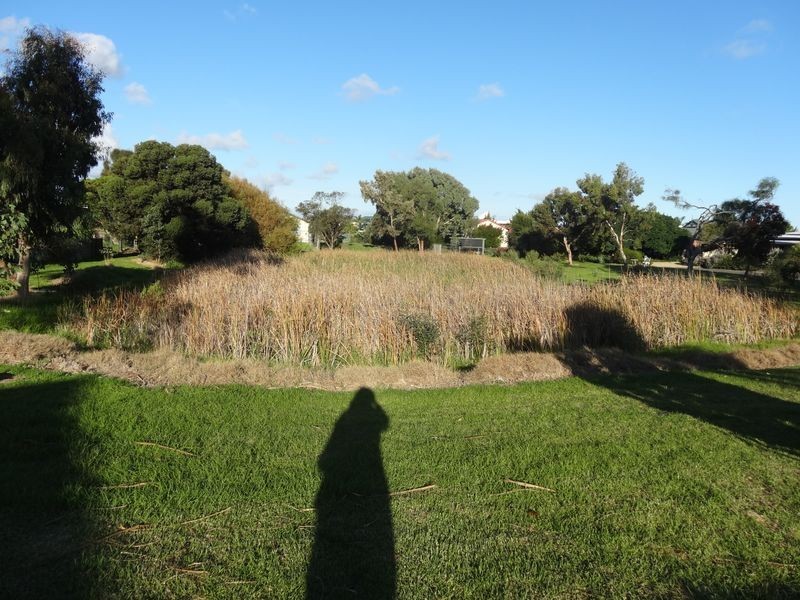 25 Alison Avenue, Goolwa SA 5214