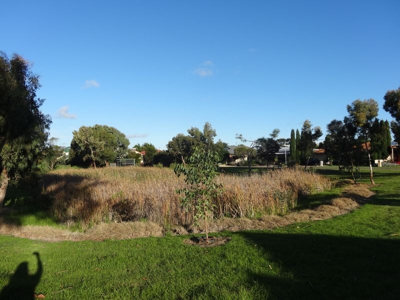 25 Alison Avenue, Goolwa SA 5214