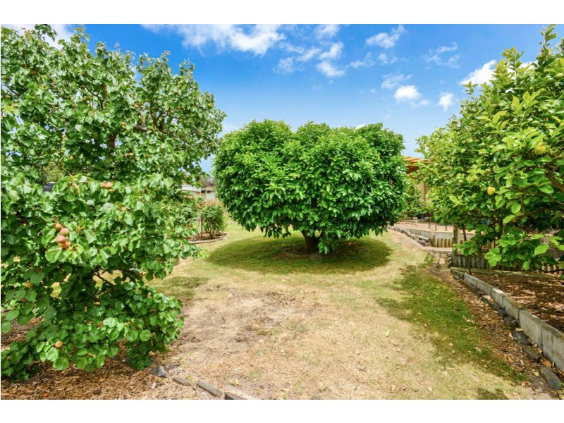 46 Lamont Road, Mccracken SA 5211