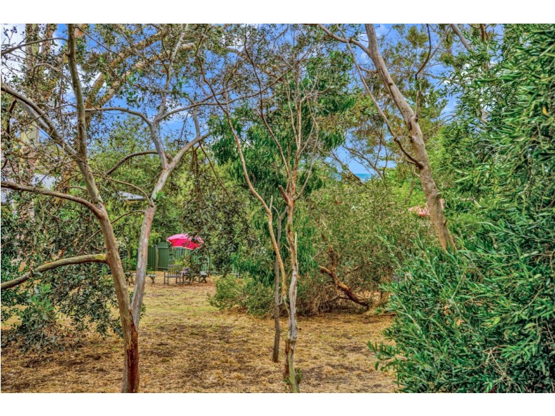 3 Dorset Ave, Victor Harbor SA 5211