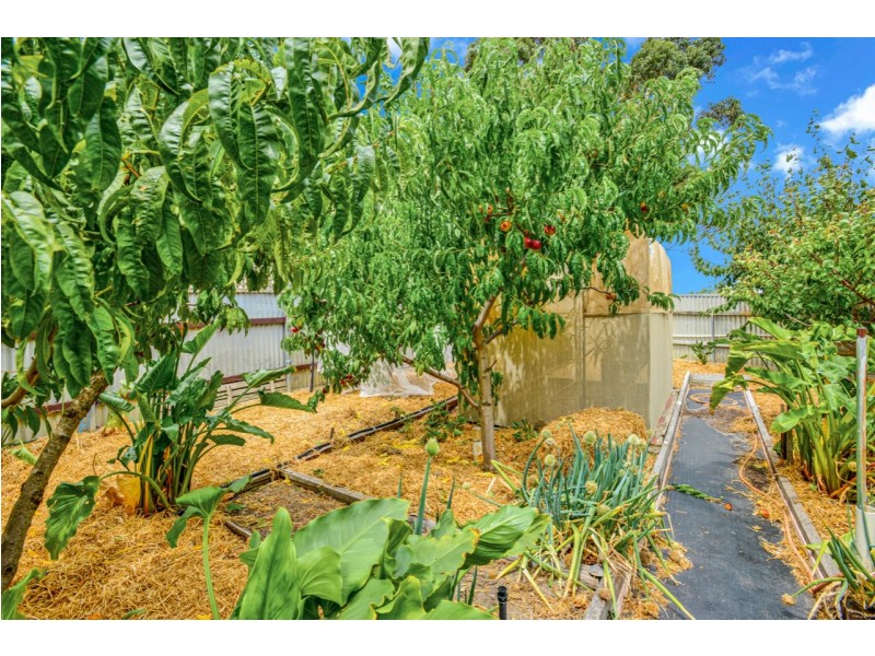 20 Lawson Street, Victor Harbor SA 5211