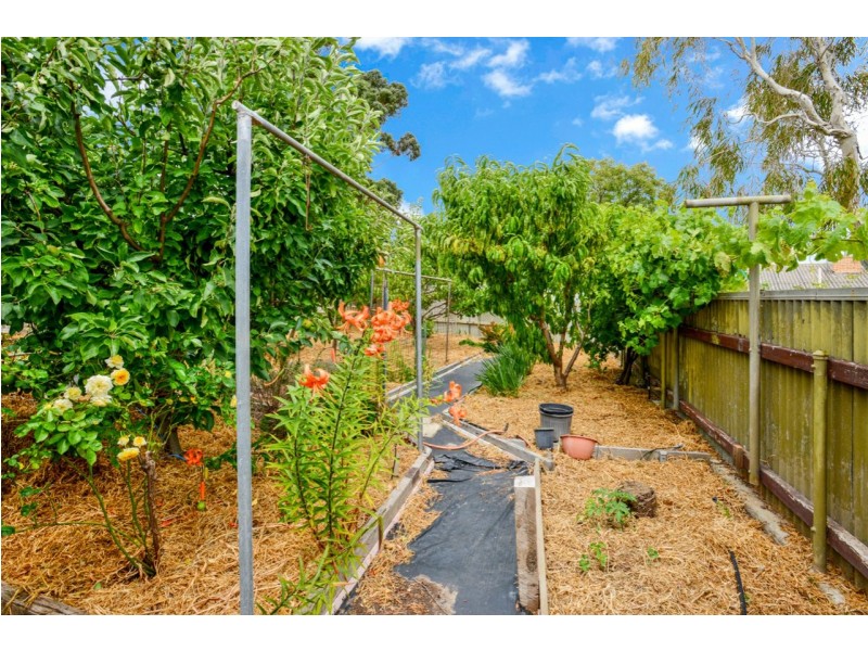 20 Lawson Street, Victor Harbor SA 5211