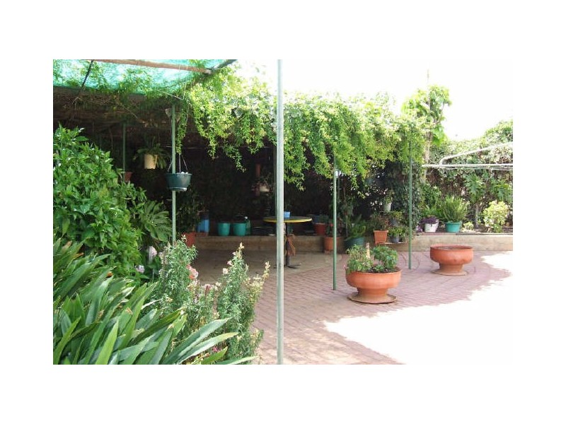 56 Lawrie Terrace, Waikerie SA 5330