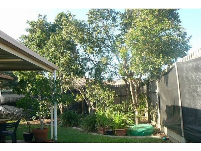 2/27 Parakeet Street, Birkdale QLD 4159