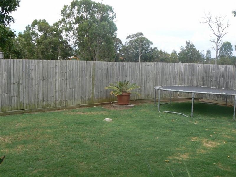 17 Kerder Street, Thornlands QLD 4164